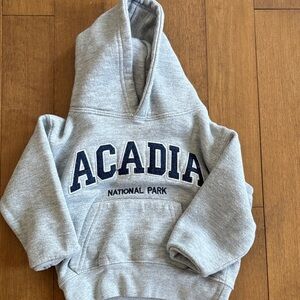 Kids Gray Hoodie with Acadia National Park Design